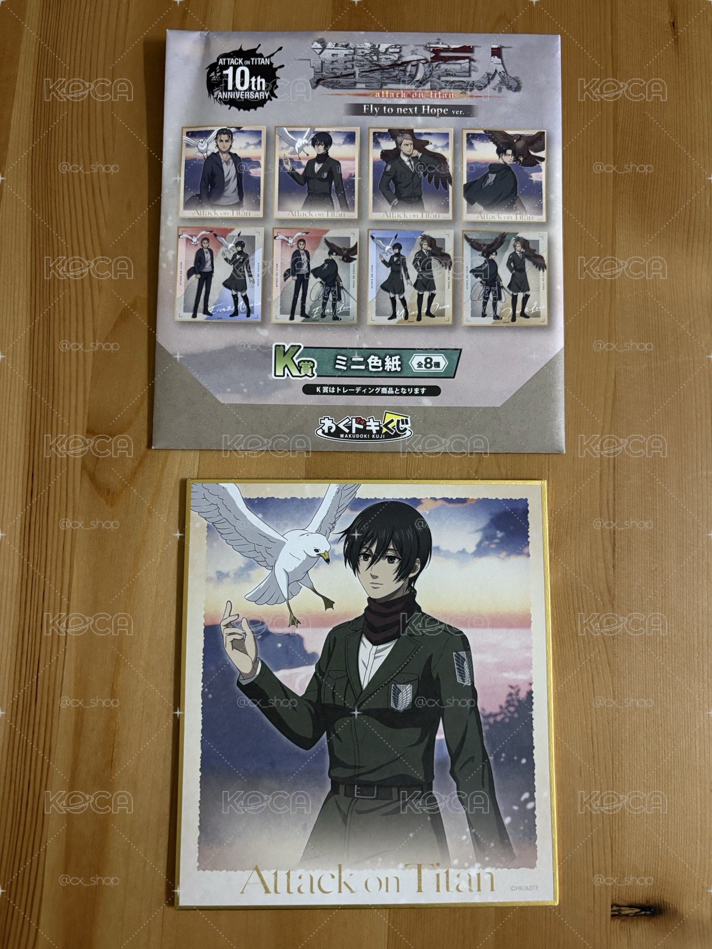 進擊的巨人 十週年紀念 一番賞 わくドキくじ Fly to next Hope 