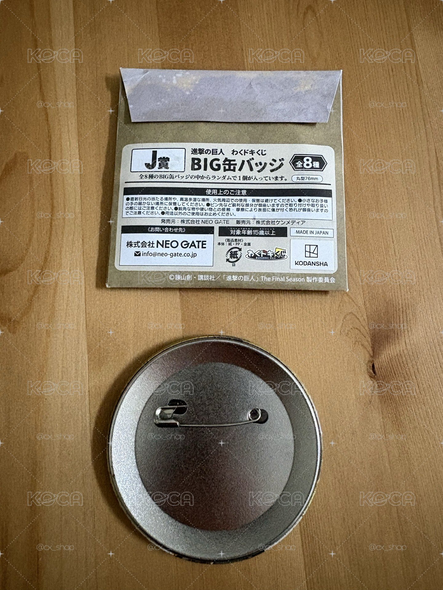 進擊的巨人 十週年紀念 一番賞 わくドキくじ Fly to next Hope 