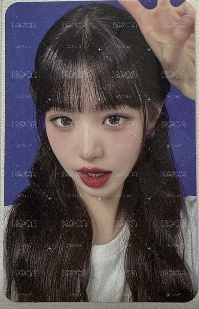 員巡迴dvd卡