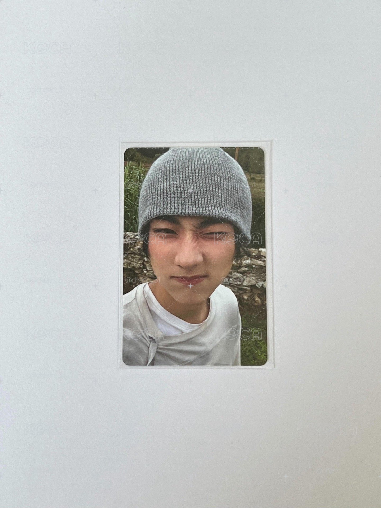 禎元小卡