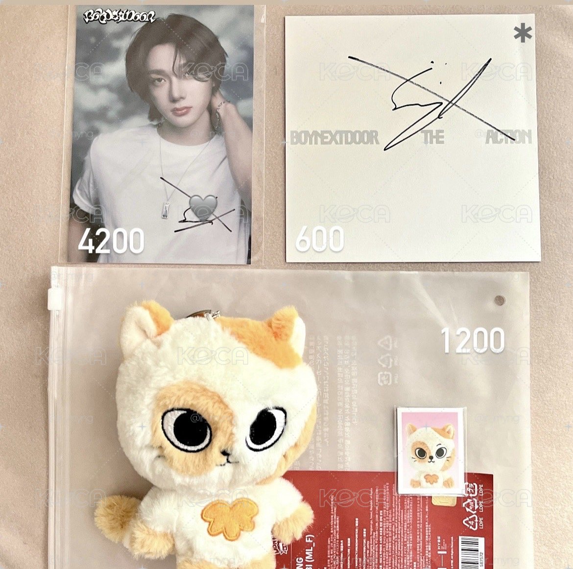 多🐈盤