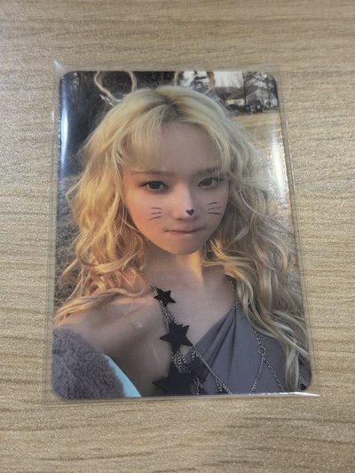 正規一 ZINE ver. 專卡冬2