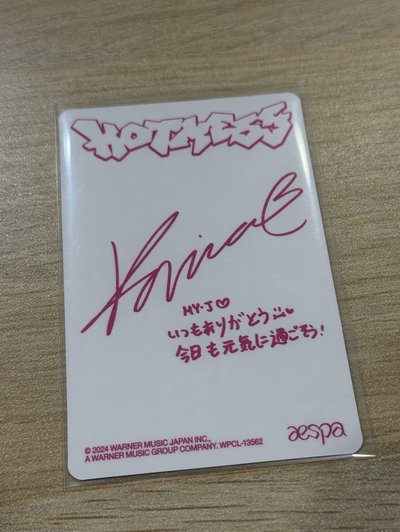 hot mess POSTER ver. 專卡柚