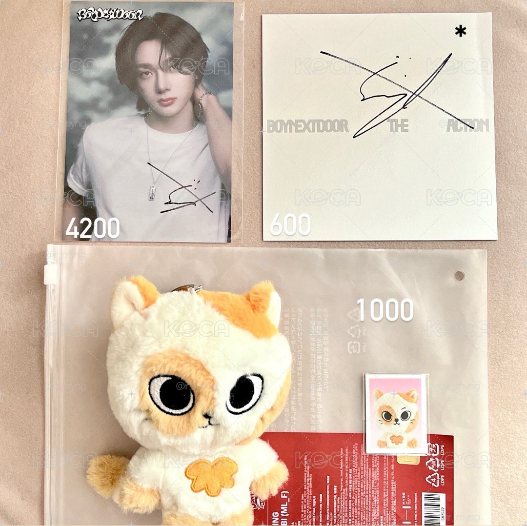 多🐈盤