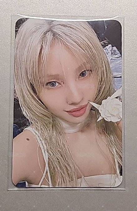 小娟 花花