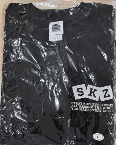 FC 2024 "SKZ TOY WORLD 踢