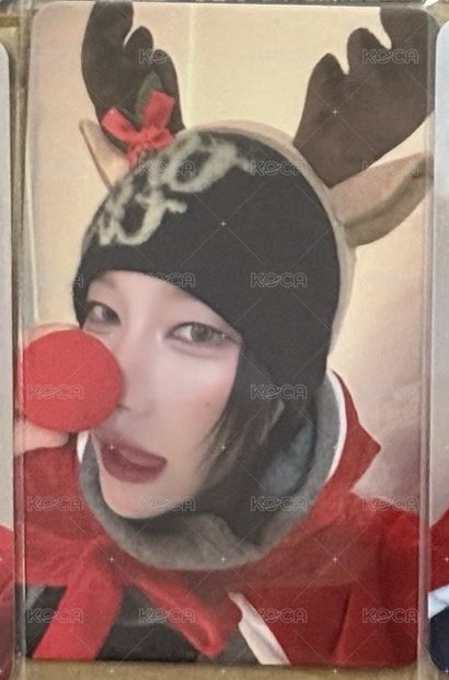 馴鹿叡