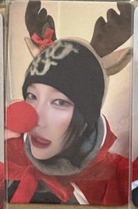 馴鹿叡