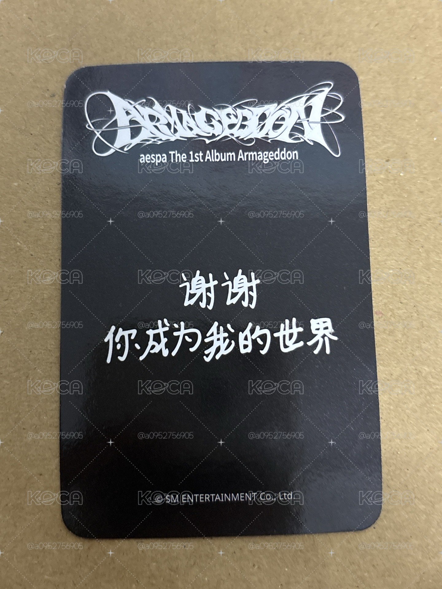 正規一 sr 特典卡 星河預售a柚