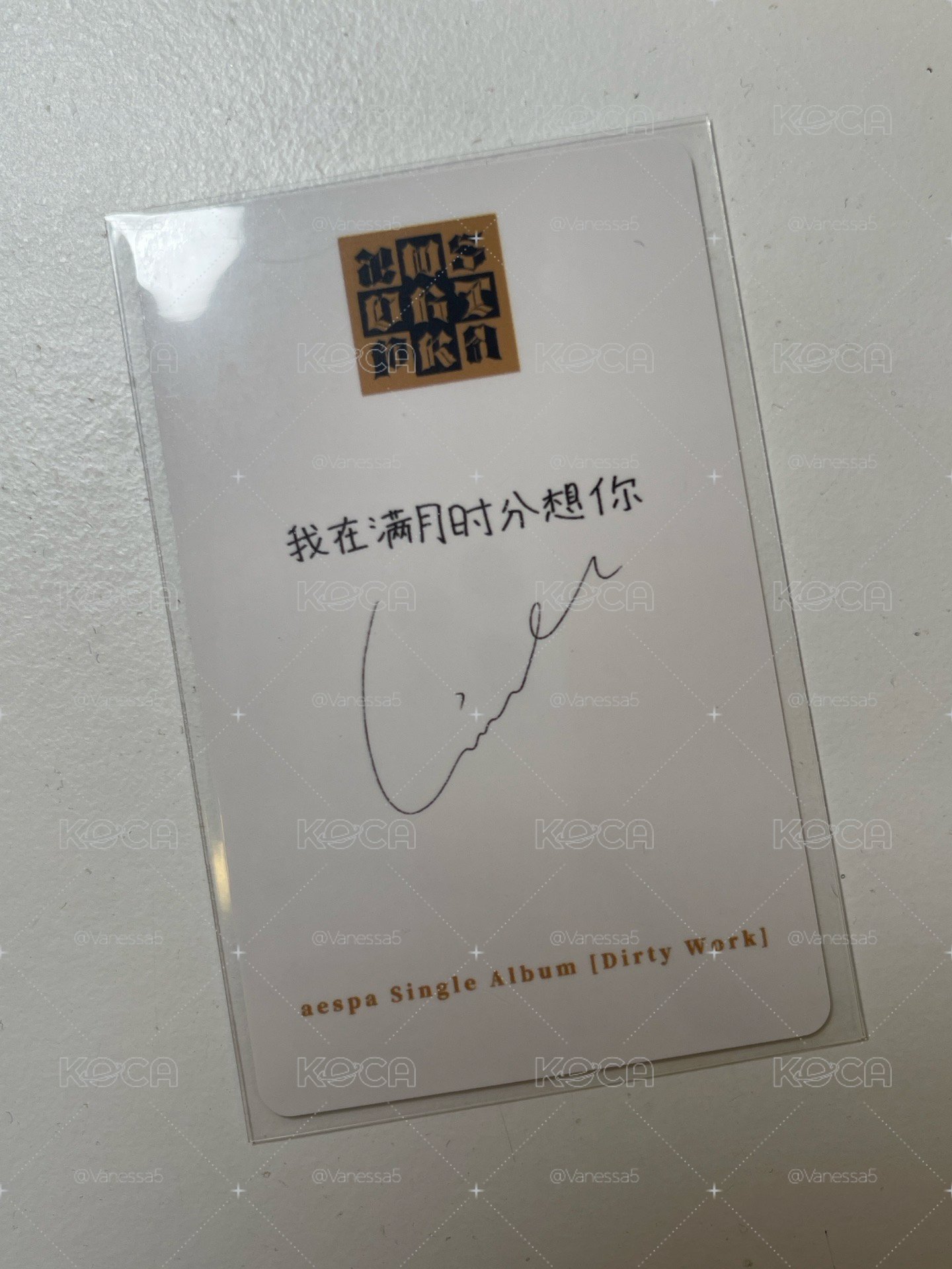 泡泡摩奇 中文卡背吉