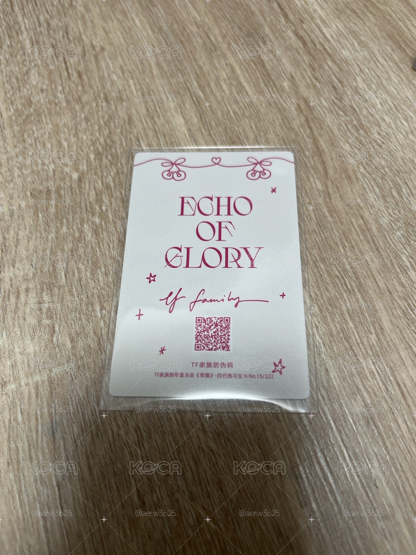 陳浚銘 新音單人N卡