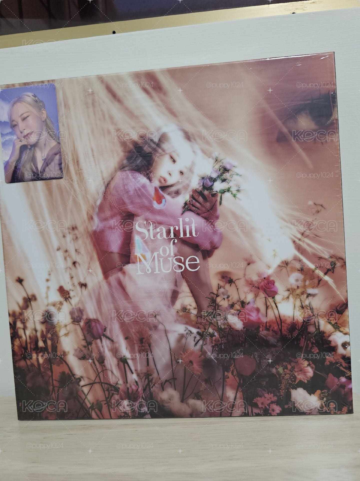 Starlit of Muse 4版本合售 全新未拆 含特典