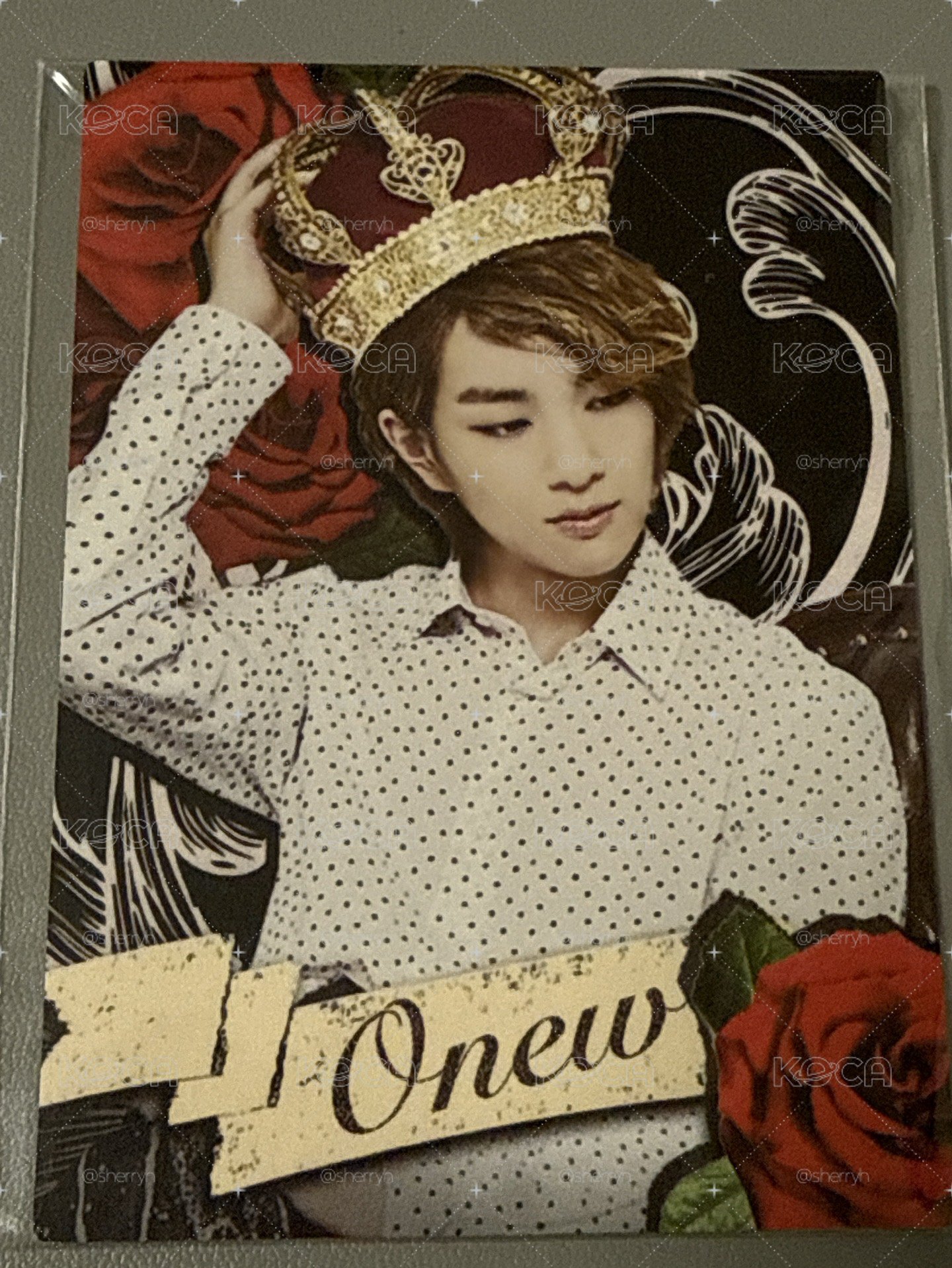 SHINee IN WONDERLAND 隨機卡 - ONEW 86