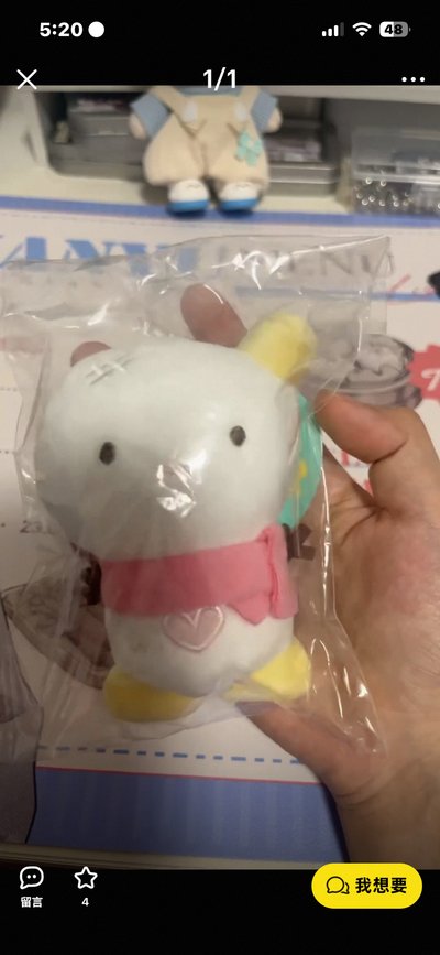 dg 冬天四週年中娃