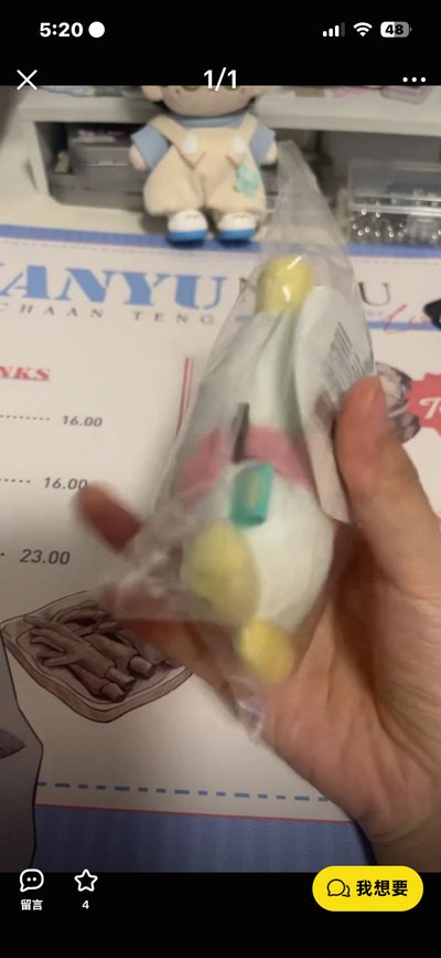dg 冬天四週年中娃