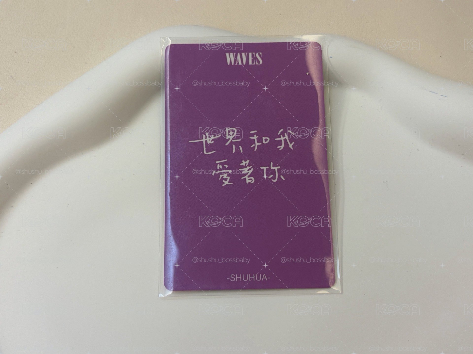 舒華雜誌卡 中文卡背 世界和我愛著你