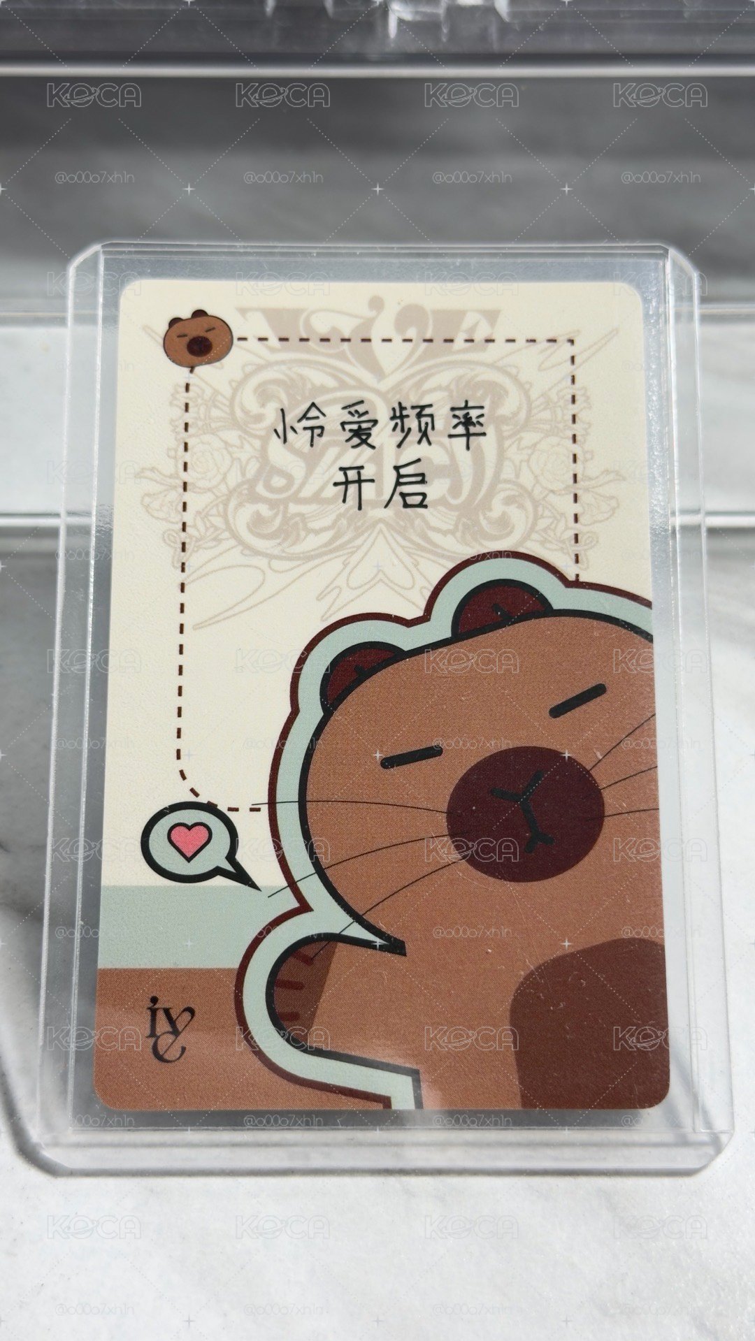 卡皮巴拉安卡皮巴拉怜