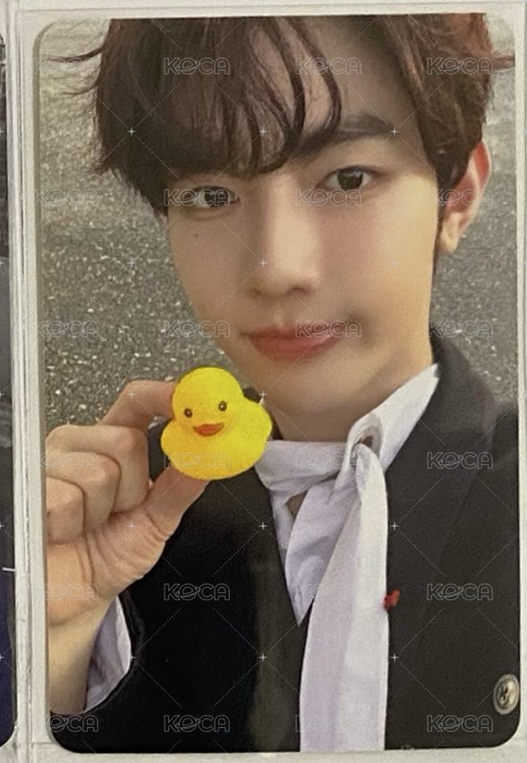 鴨子🦆