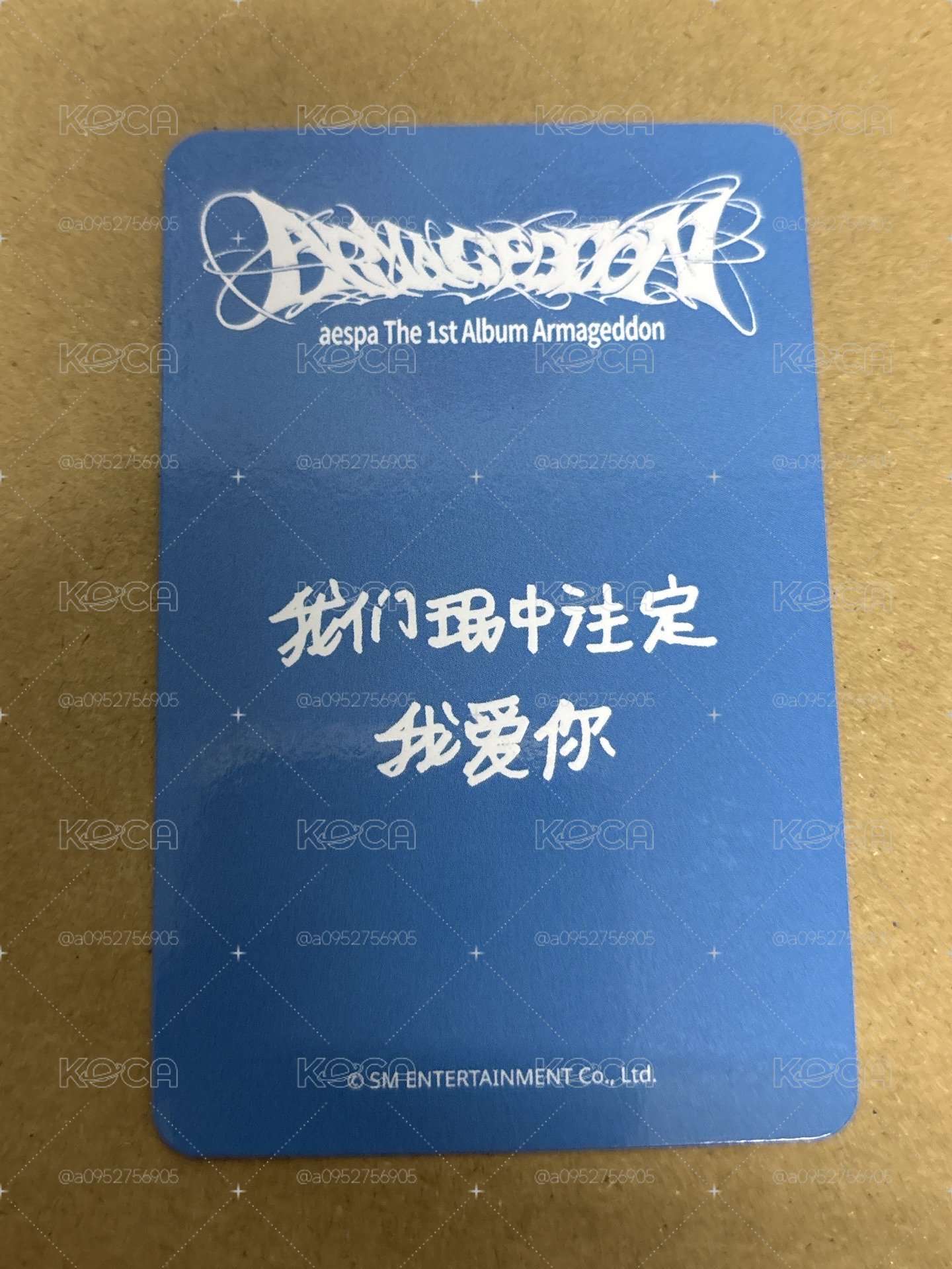 正規一 sr 簽售卡 星河簽售1.0柚 貓爪柚
