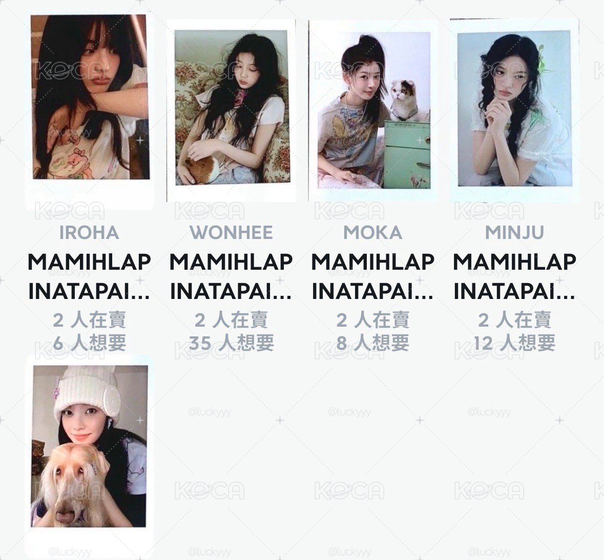 ma簽售一套