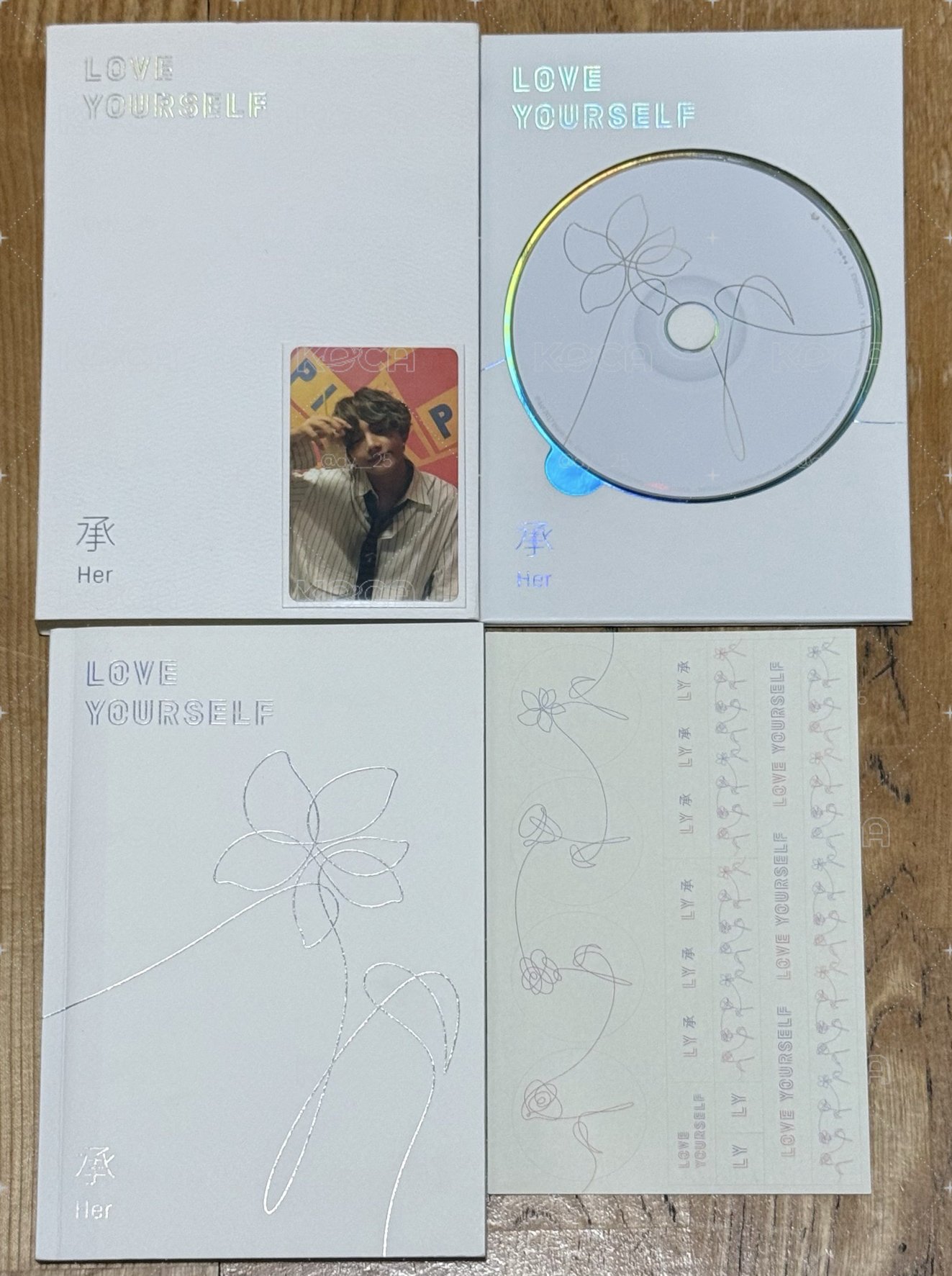 BTS LY承 E版 泰亨全專