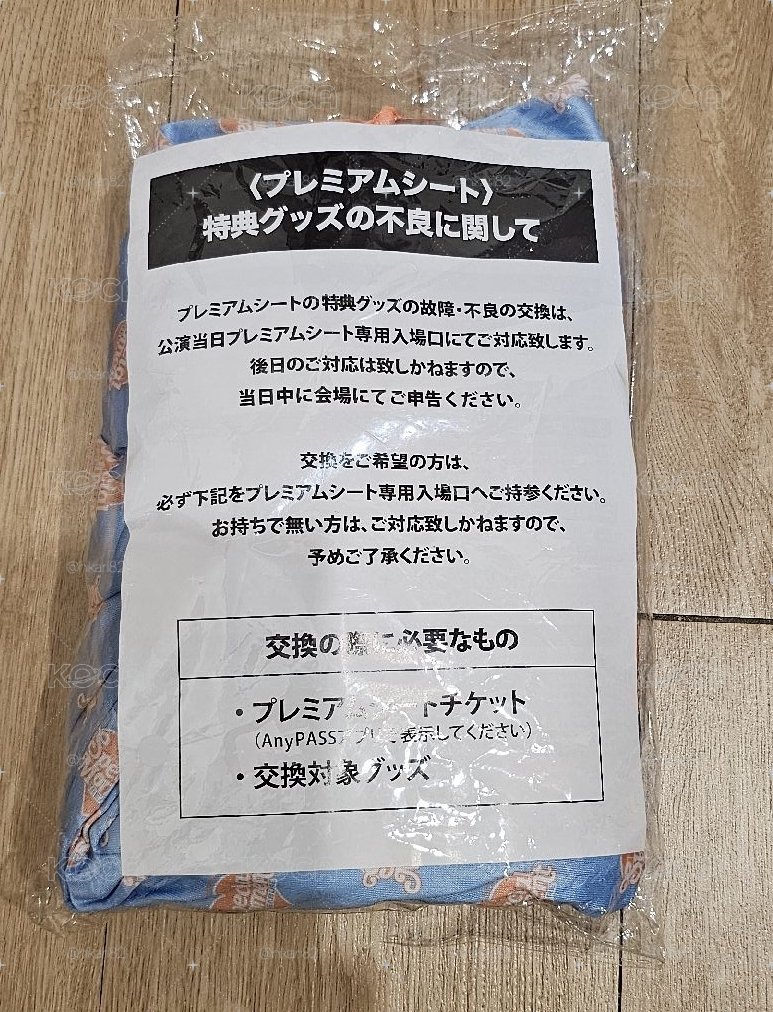Treasure 2025日本FM   P席 入場禮盒 (旅行袋組)