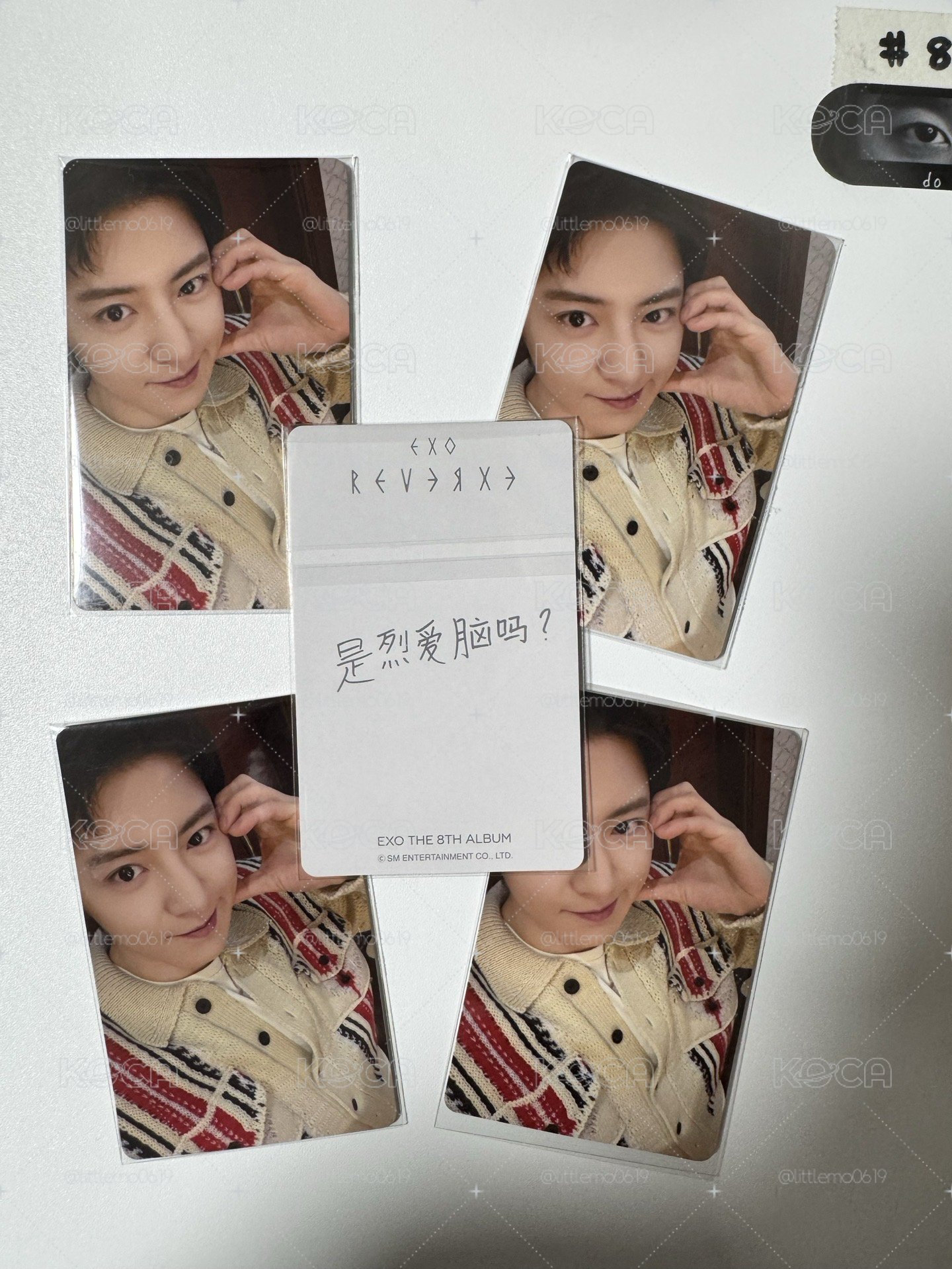EXO 燦烈「是烈愛腦嗎？」上海簽售卡