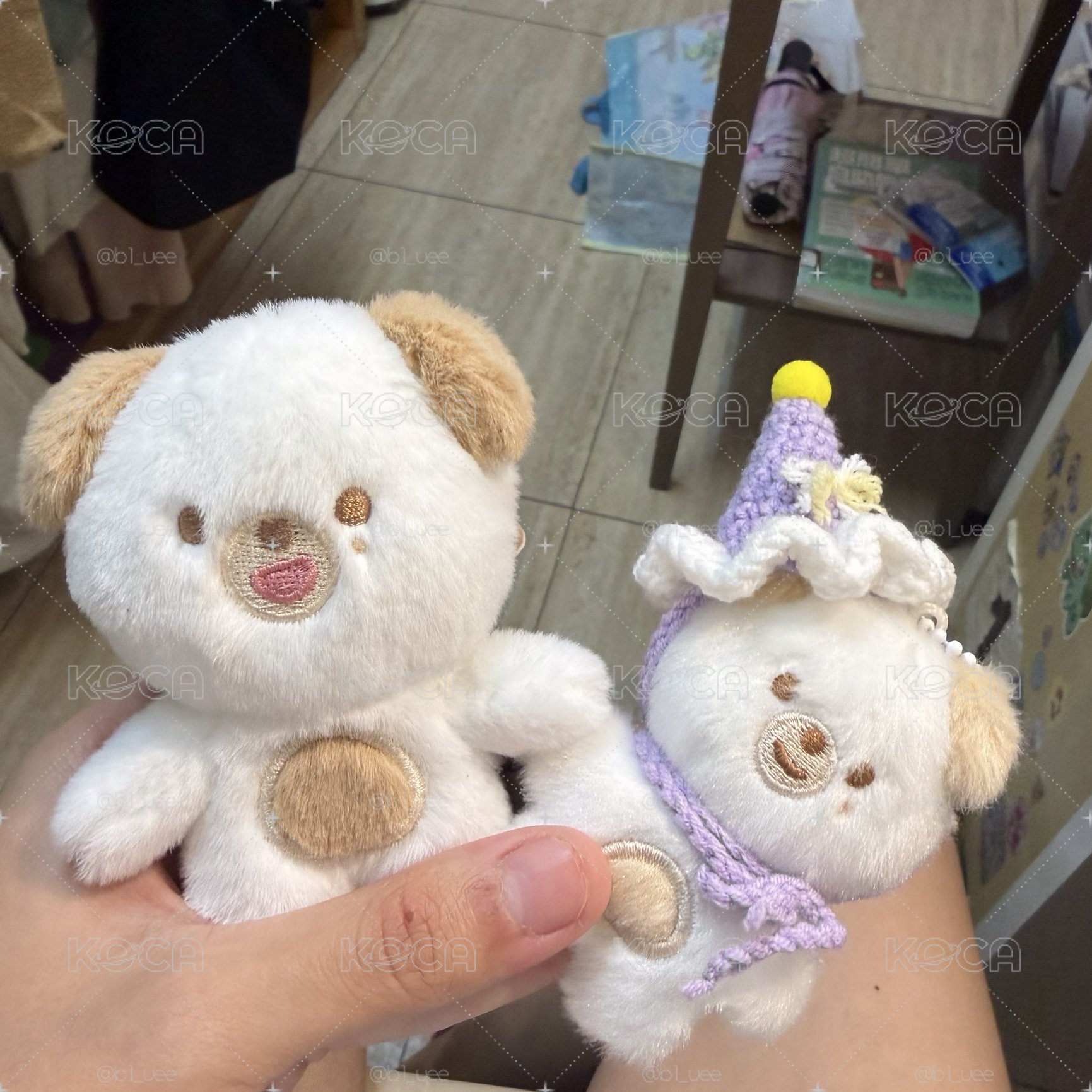 度云娃娃（兩隻不拆