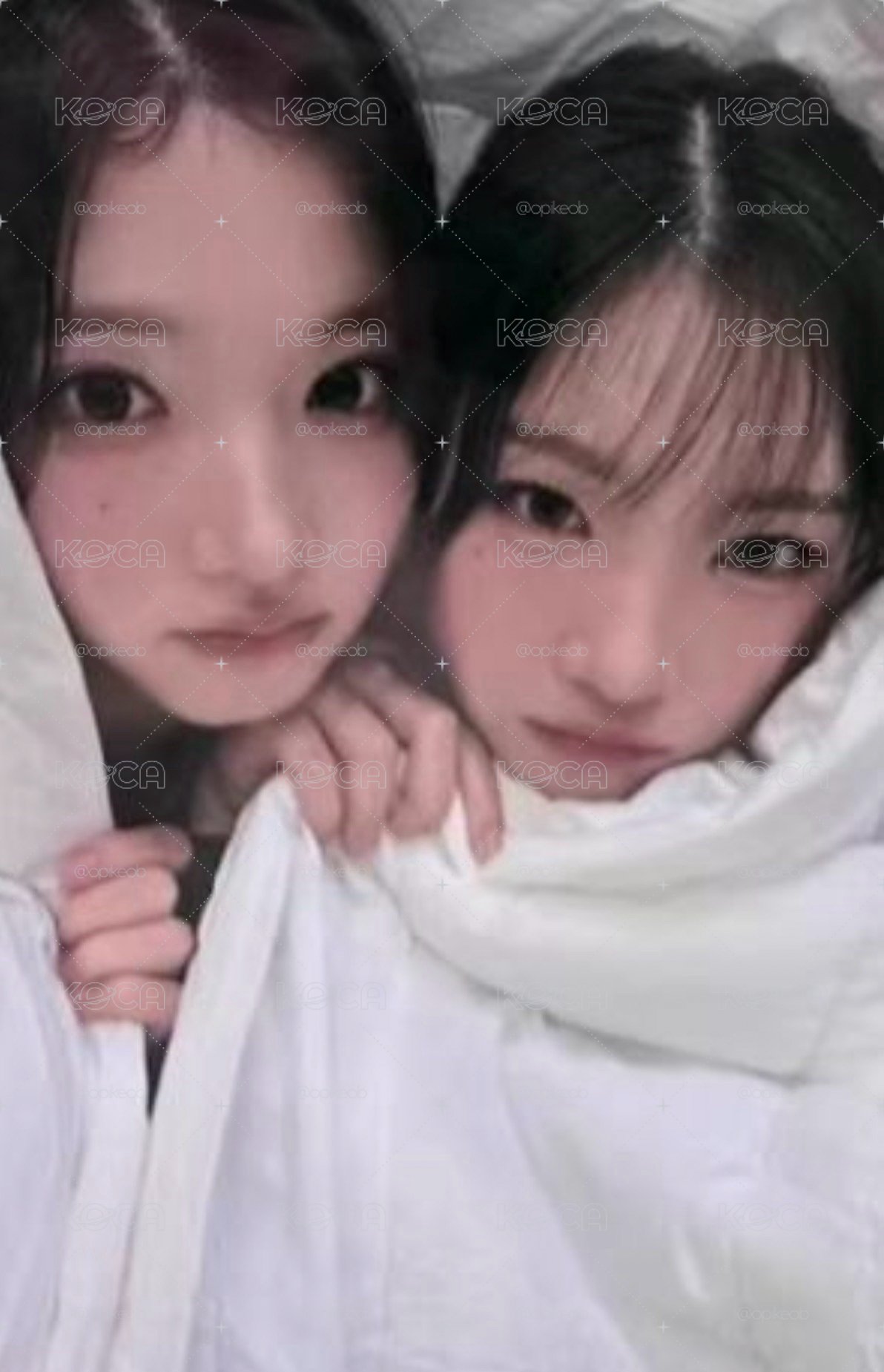小卡