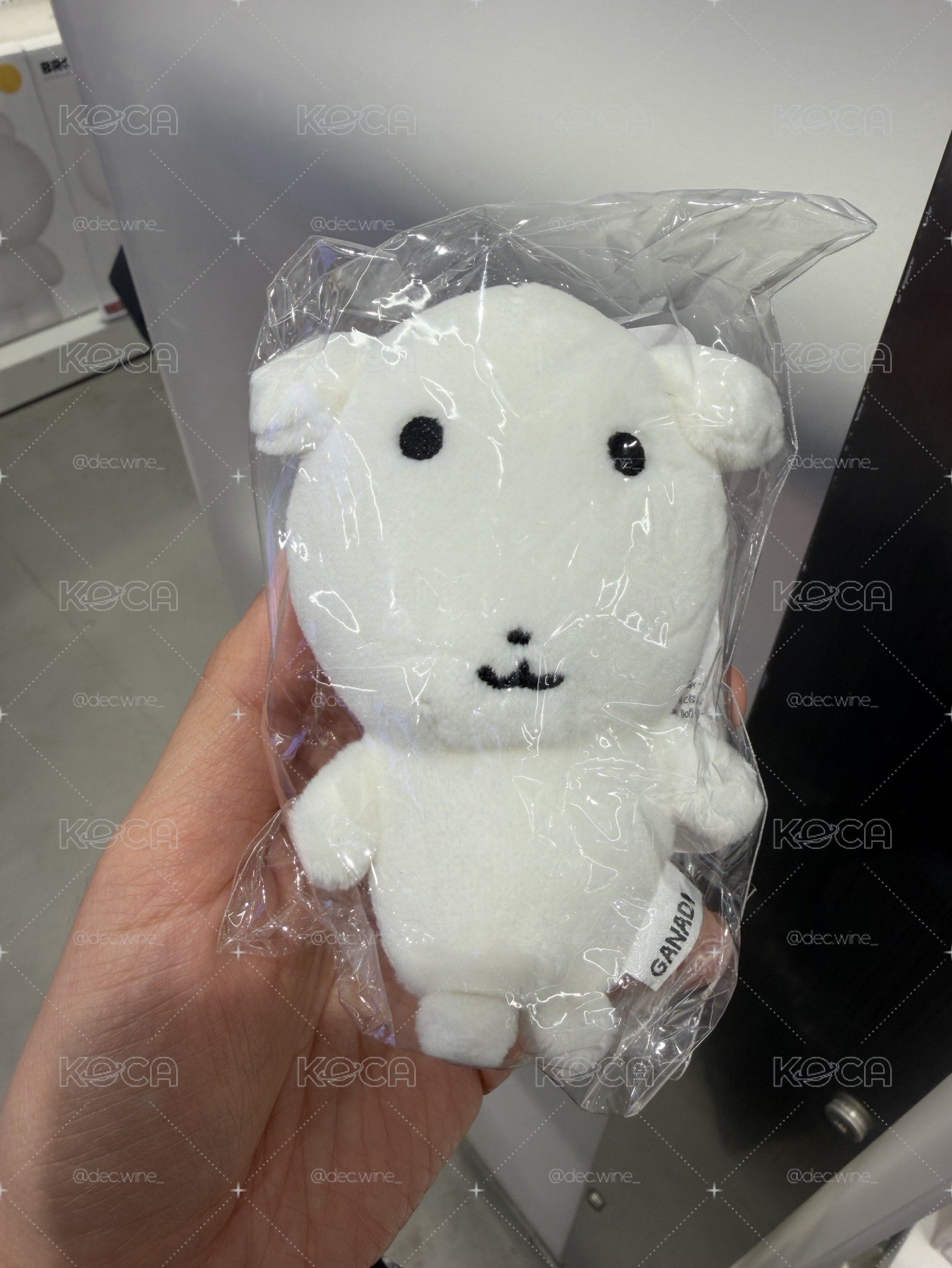 8月中回台寄出🚚가나디吊娃