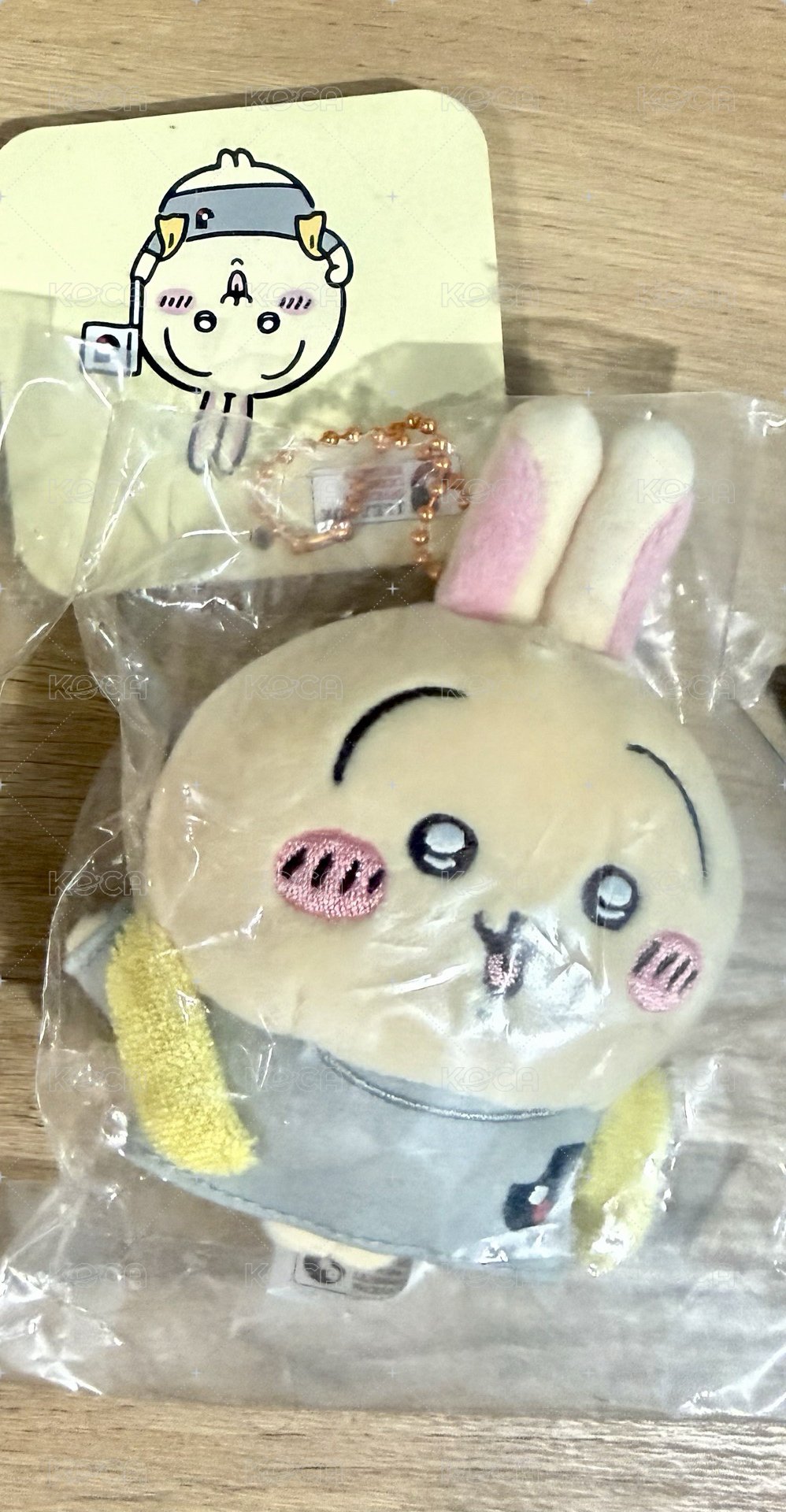 足球兔