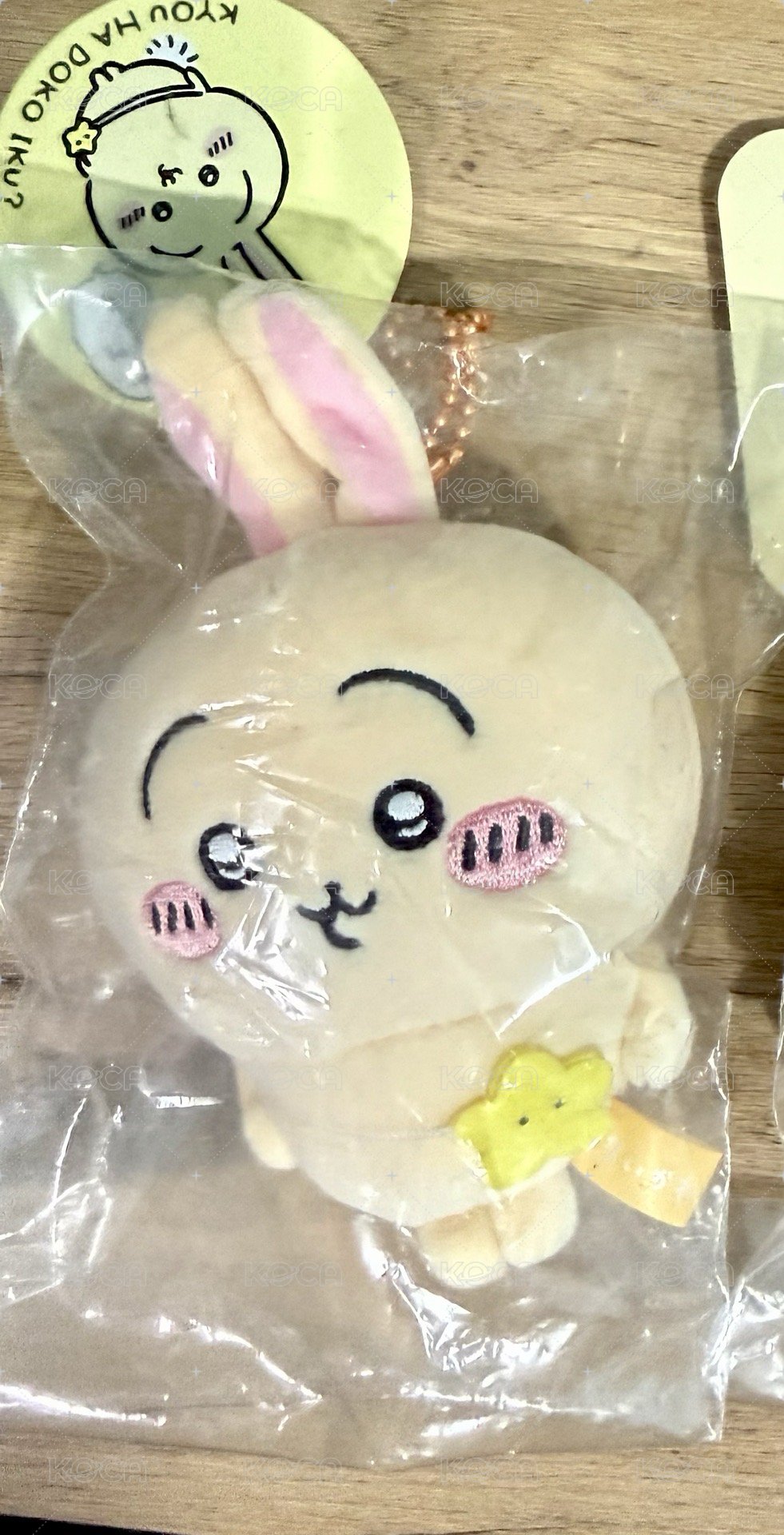出遊兔