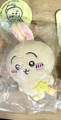 出遊兔