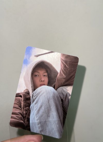 三張小馬一次擁有