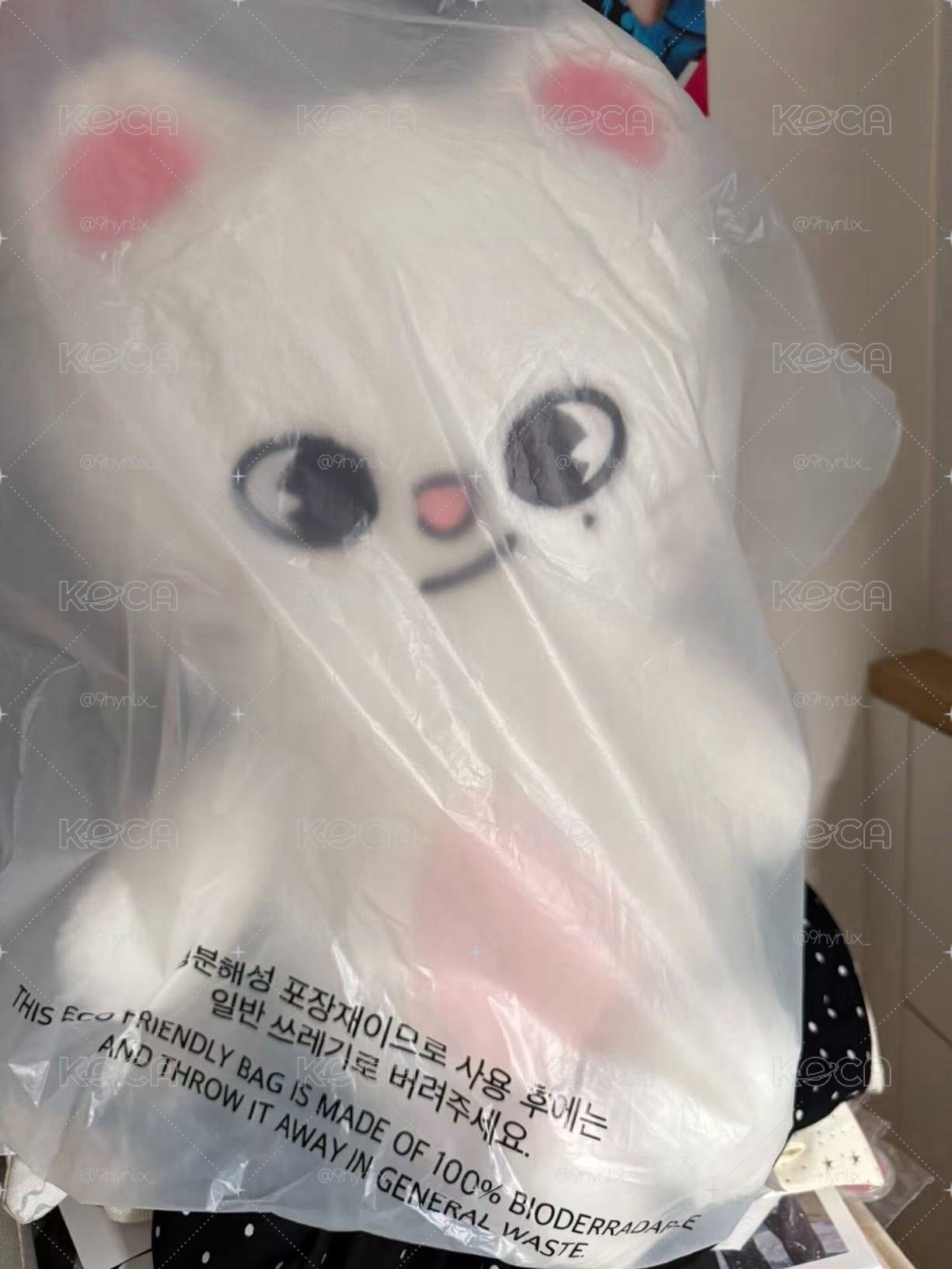 未拆辰泰迪（暫不開放下單）