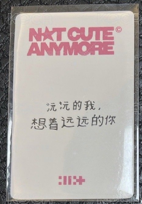 現貨中背 NOT CUTE ANYMORE yzy 預售2.0 特典卡：wonhee