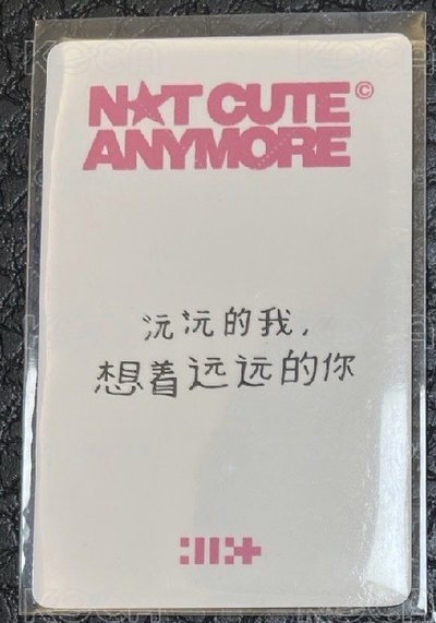 現貨中背 NOT CUTE ANYMORE yzy 預售2.0 特典卡：wonhee