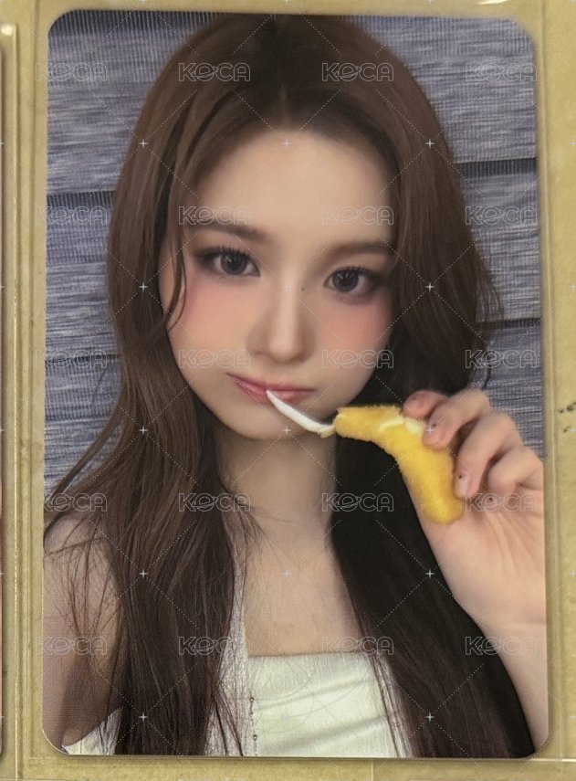 薛