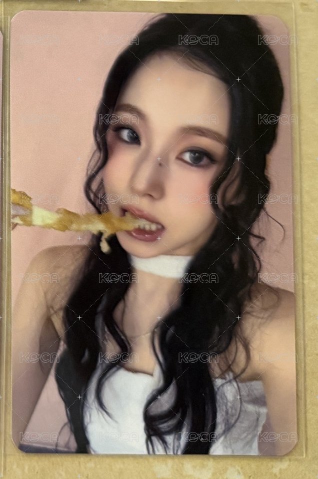 圭
