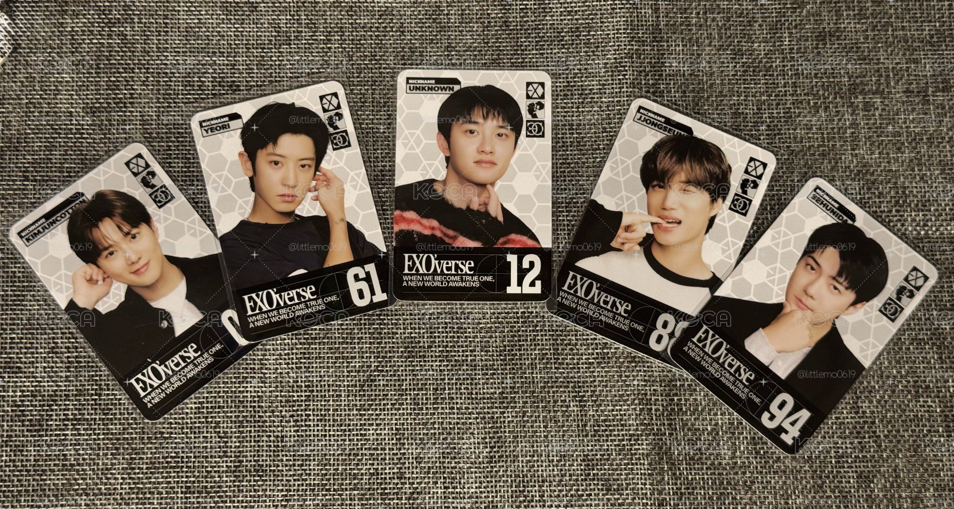 EXO FM 閃卡大全套隱藏卡