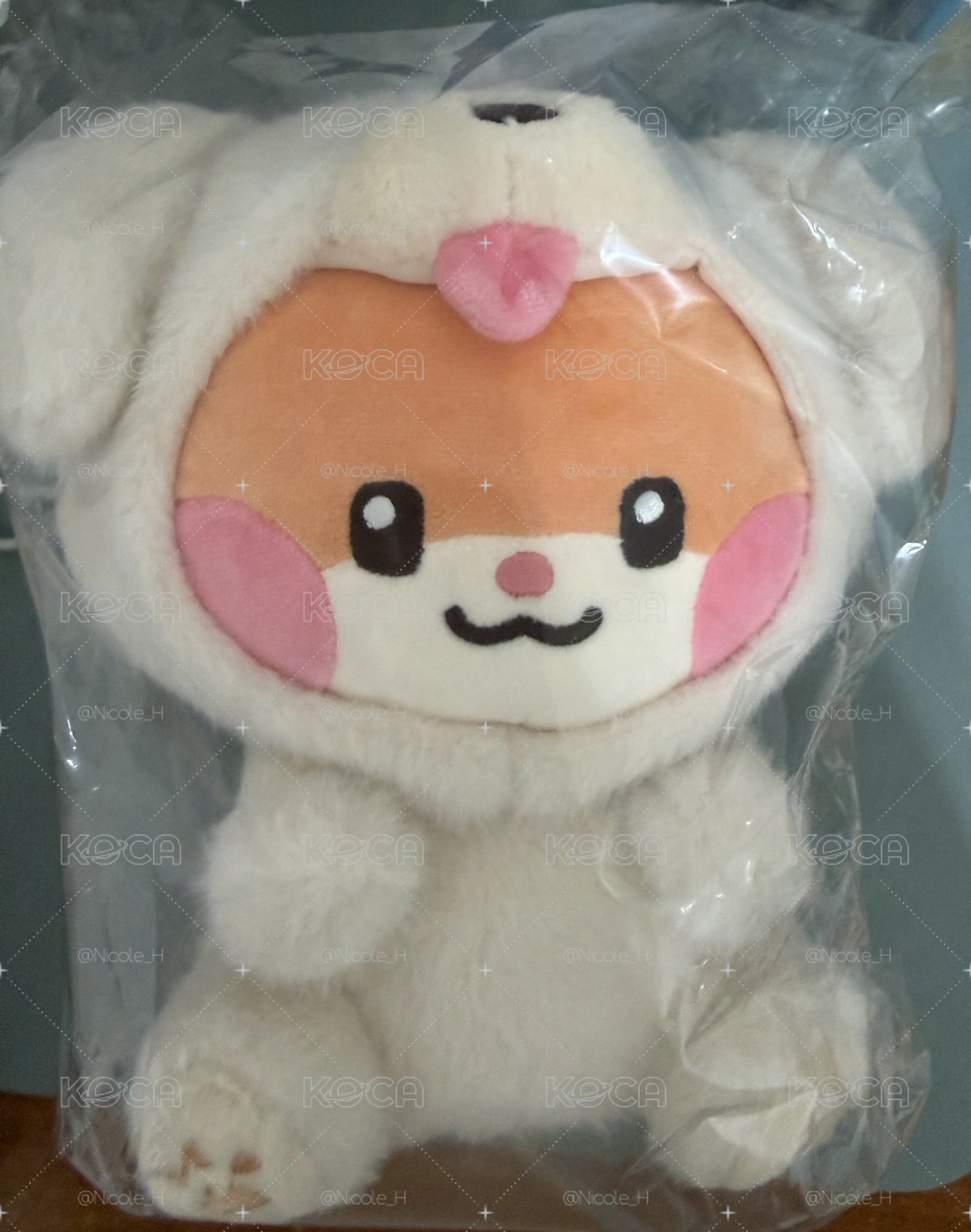 彬 動物坐娃