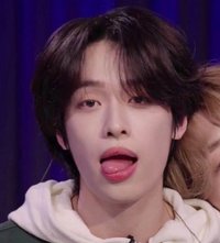 小狗鴨