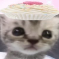 嚴公主的白馬王子