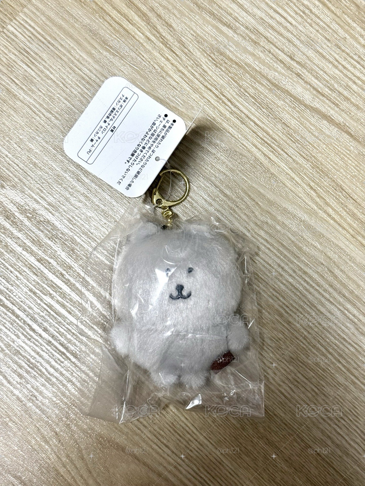 韓國灰色熊熊