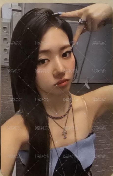D3 茶
