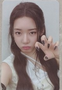 茶特典