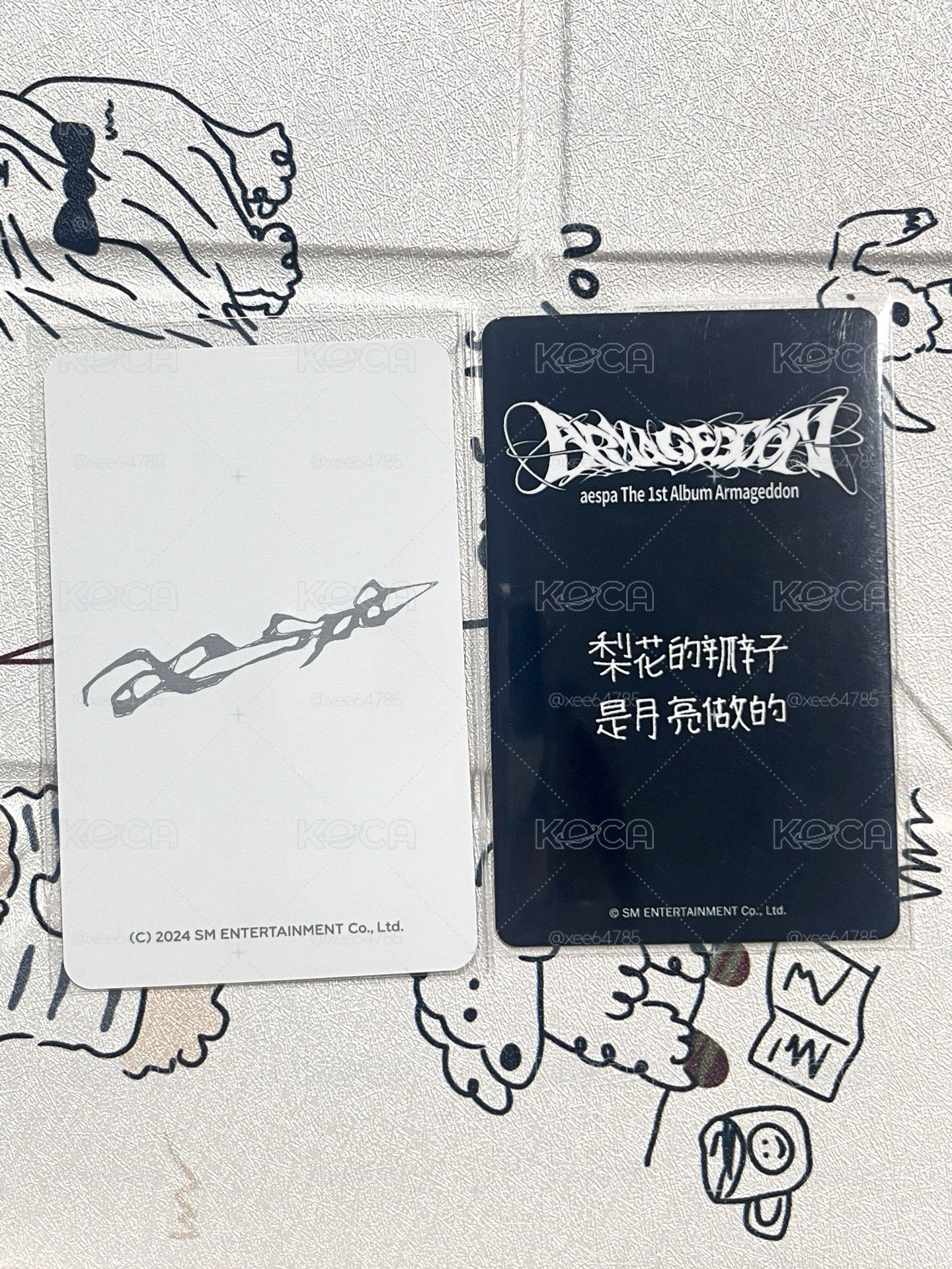 正規一梨 貓抓