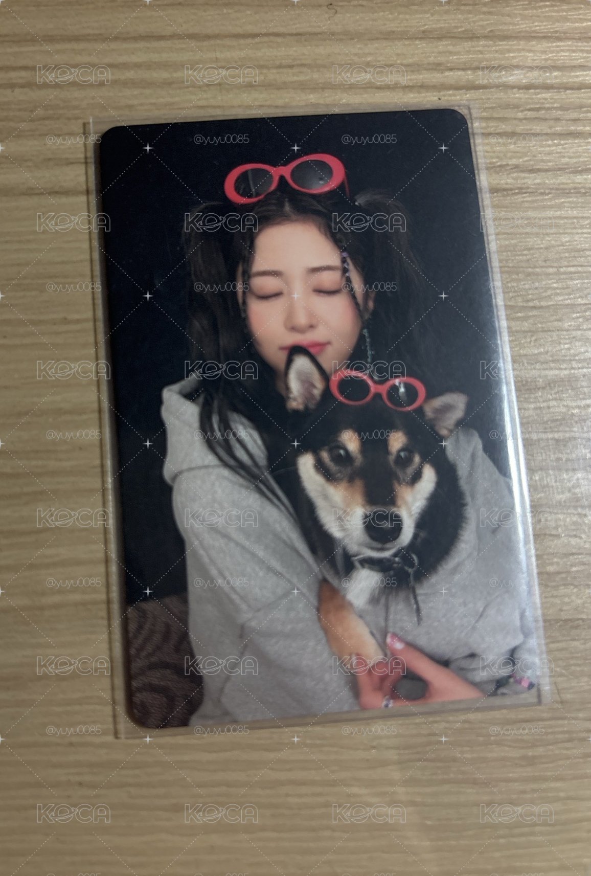 狗狗允