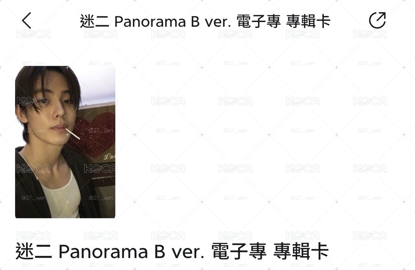 🦊迷二 灰色電子專 嚴小卡 全專
