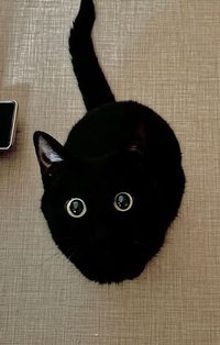 退卡坑